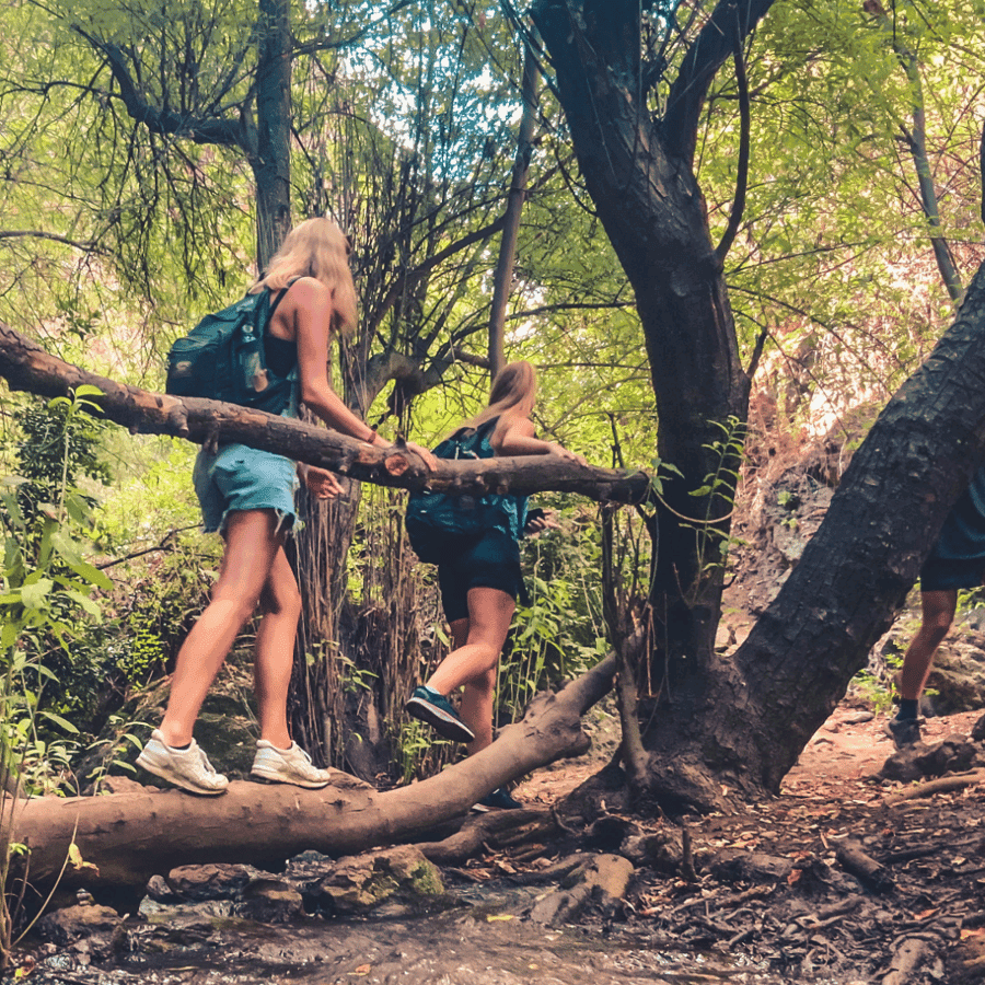 Punta Cana: Los Haitises Hike & Kayaking Mangroves — Guided tour and outdoor activity